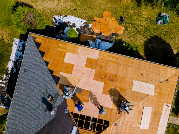 Best Roof Repair Services  in Colfax, CA