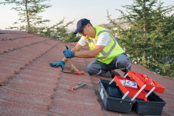 Roof Gutter Cleaning in Colfax, CA